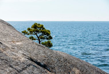 stone in an archipelago landscape