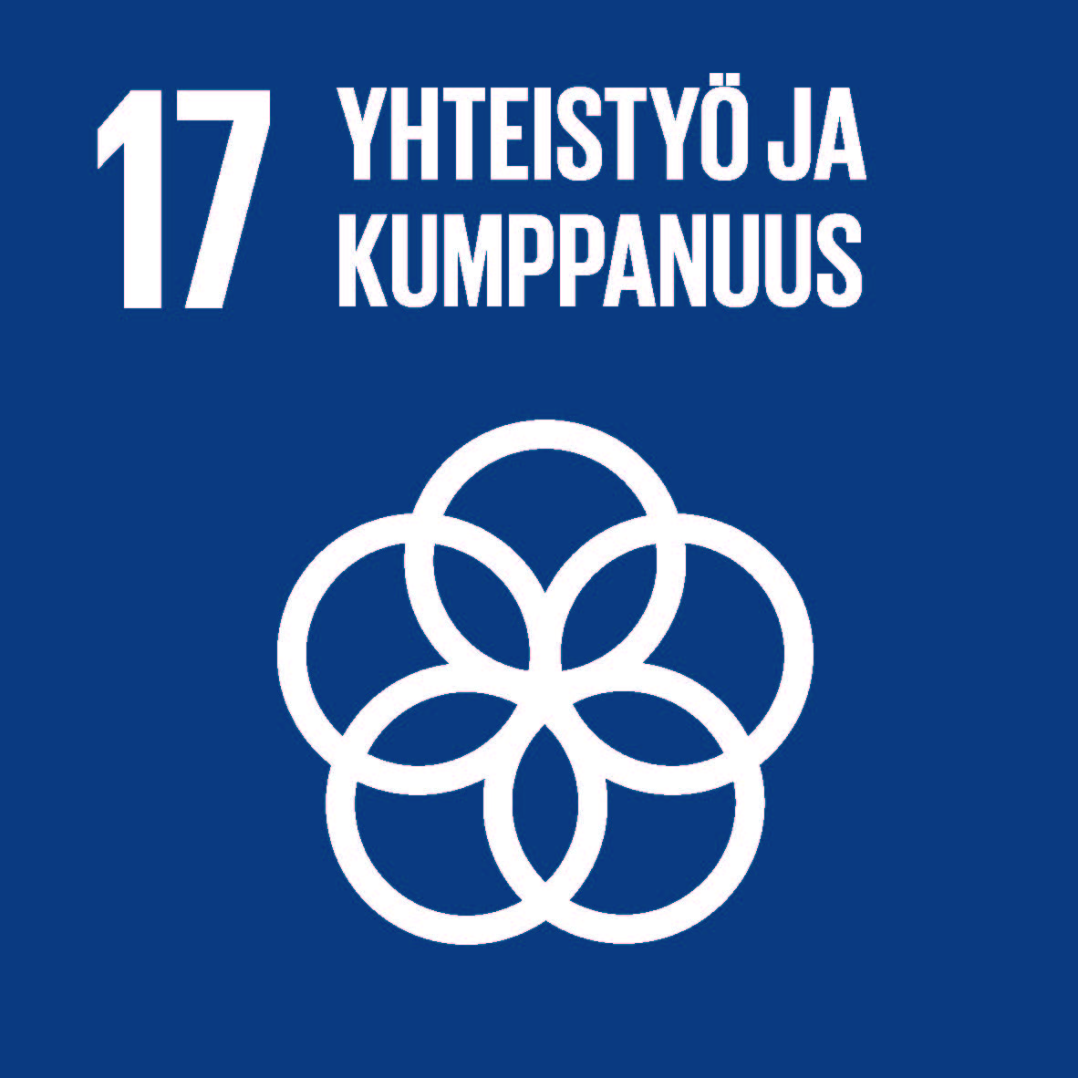 SDG-17-icon
