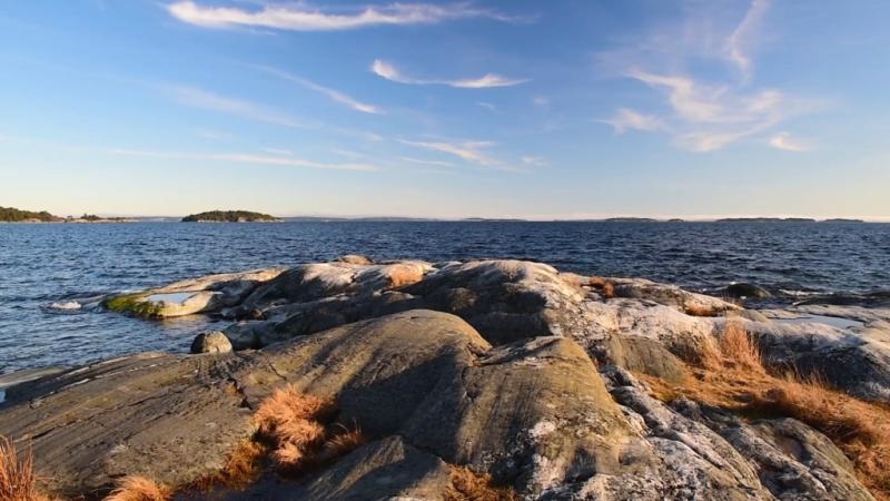 Save a pot of the Baltic Sea